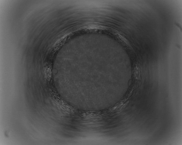 X0000103220821200809111506