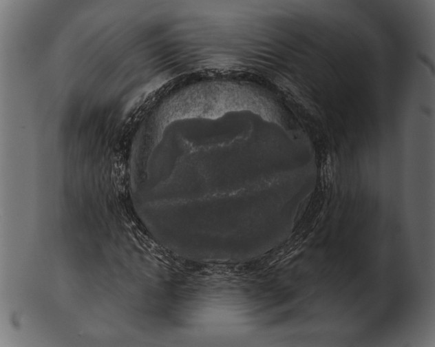 X0000103220822200809111506