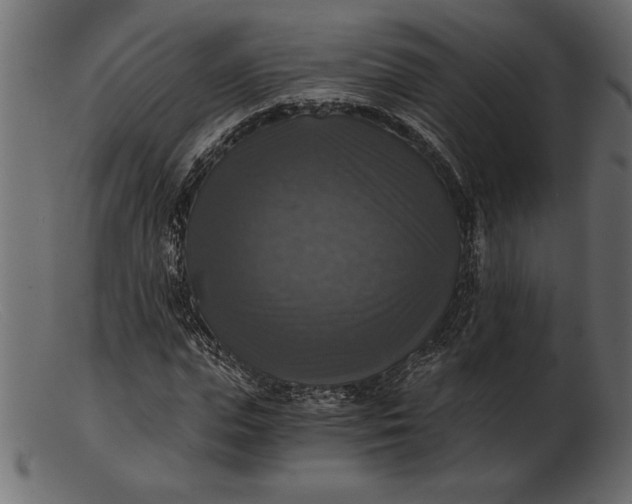 X0000103220823200809111506