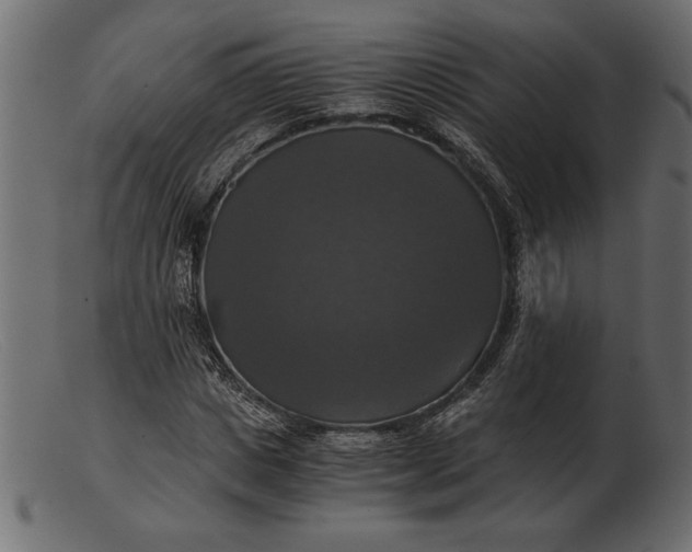 X0000103220825200809111506