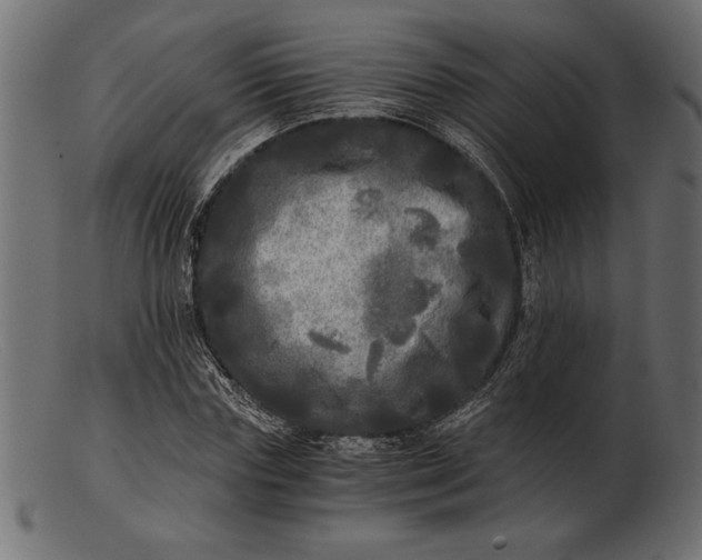 X0000103220827200809111506