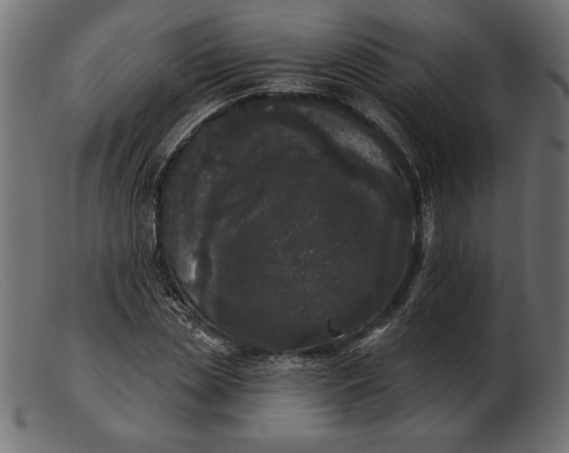 X0000103220829200809111506