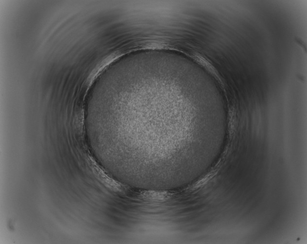 X0000103220831200809111506