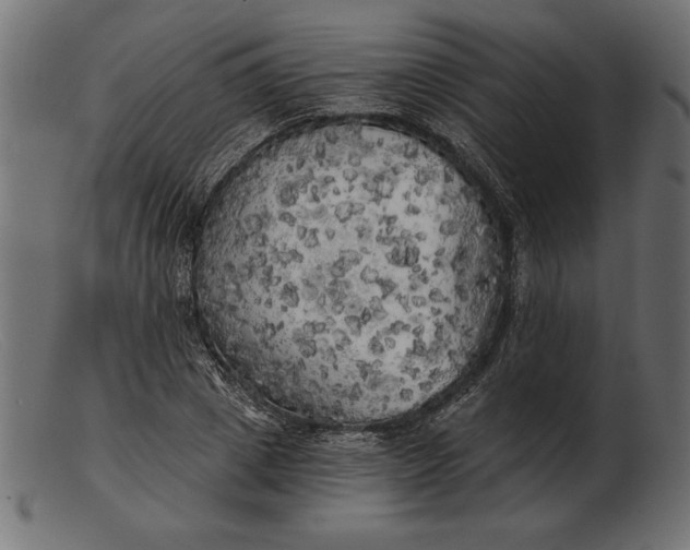 X0000103220833200809111506