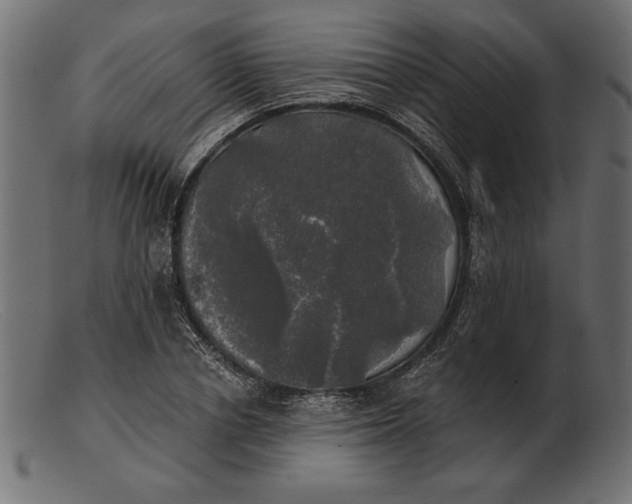 X0000103220834200809111506