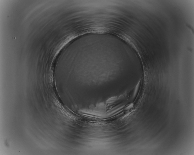 X0000103220835200809111506