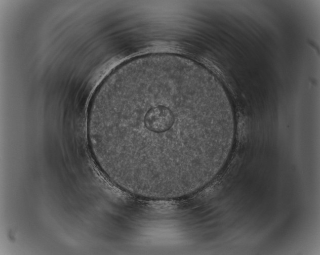 X0000103220836200809111506