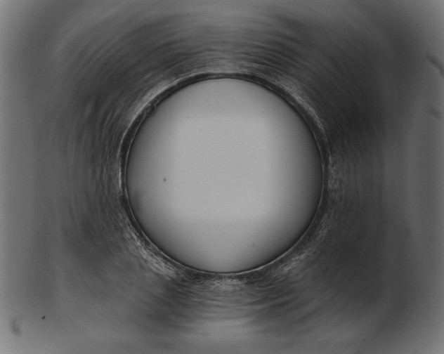 X0000103220837200809111506