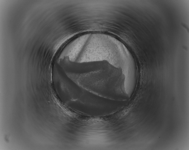 X0000103220838200809111506