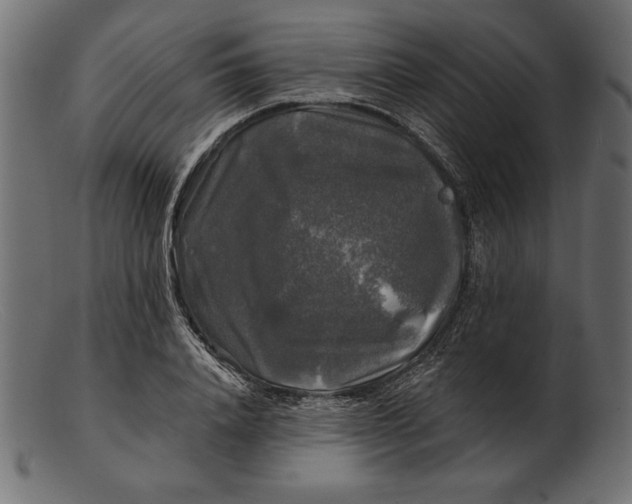 X0000103220840200809111506