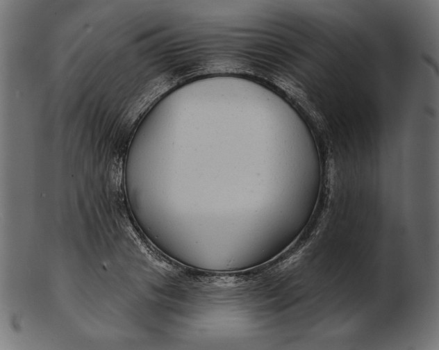 X0000103220841200809111506