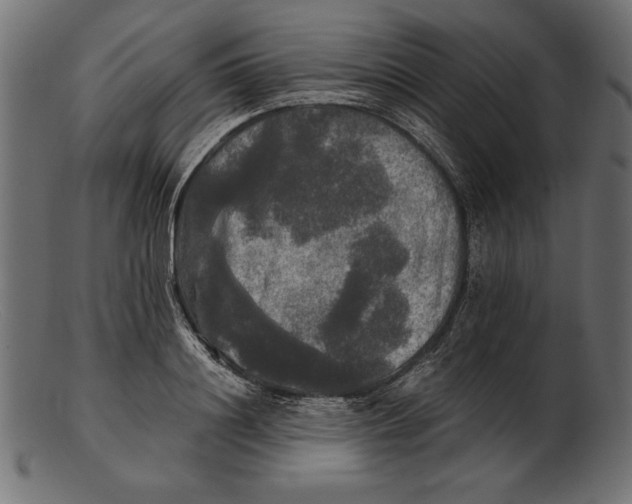 X0000103220844200809111506