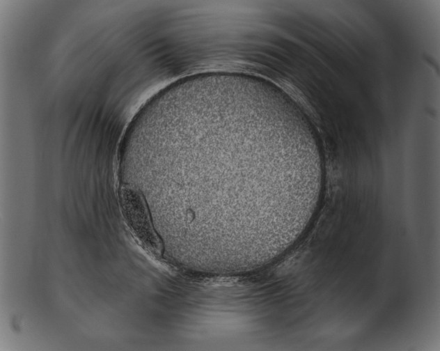 X0000103220846200809111506