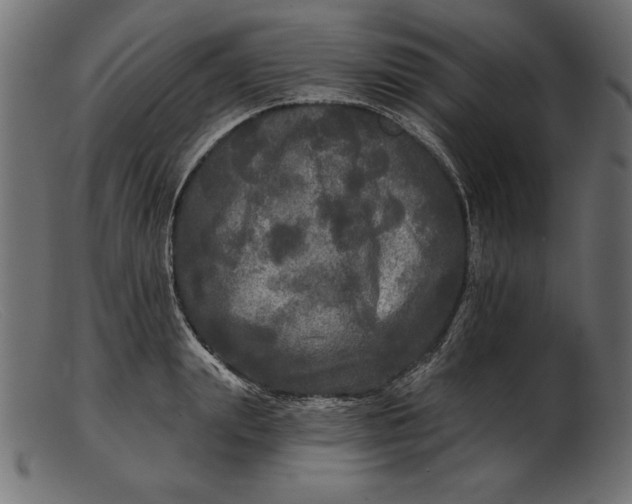 X0000103220847200809111506