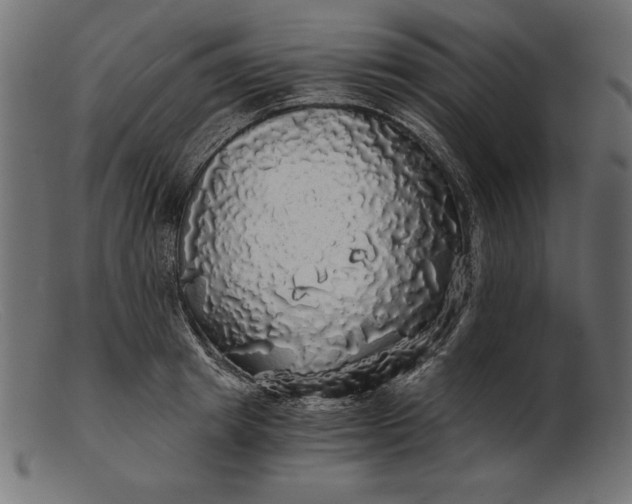 X0000103220849200809111506