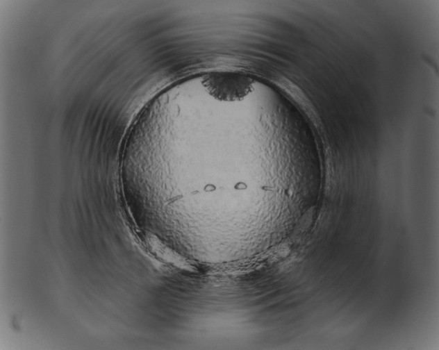 X0000103220850200809111506