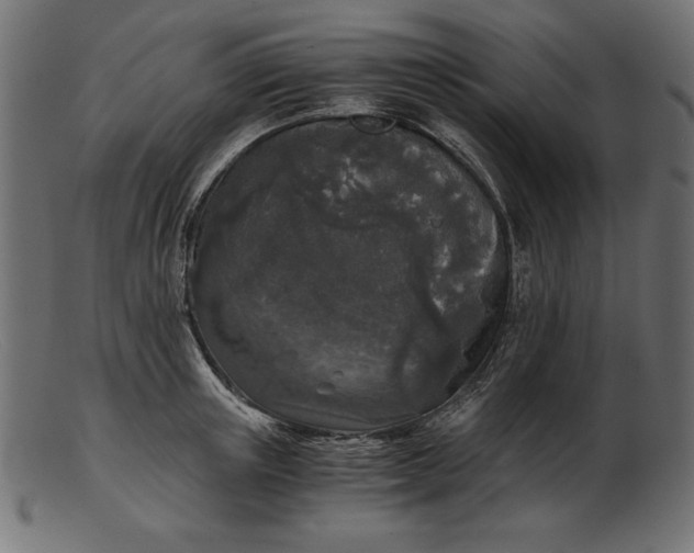 X0000103220851200809111506