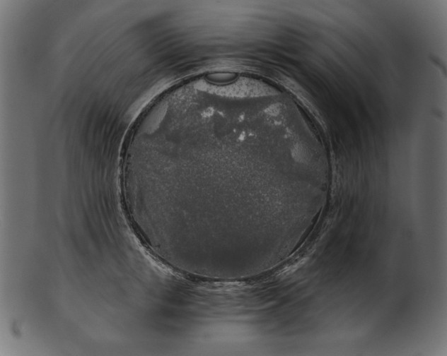 X0000103220853200809111506