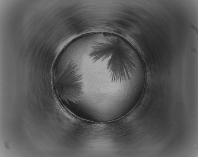 X0000103220854200809111506