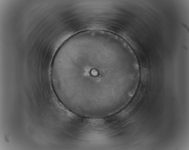 X0000103220856200809111506