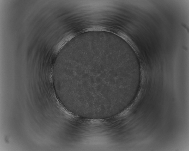 X0000103220857200809111506