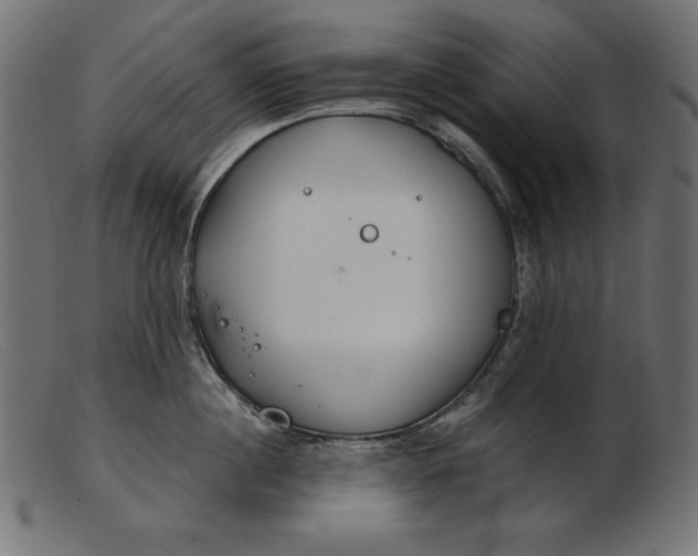 X0000103220860200809111506