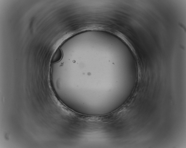 X0000103220861200809111506