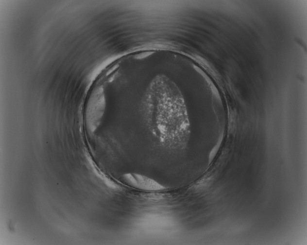 X0000103220862200809111506