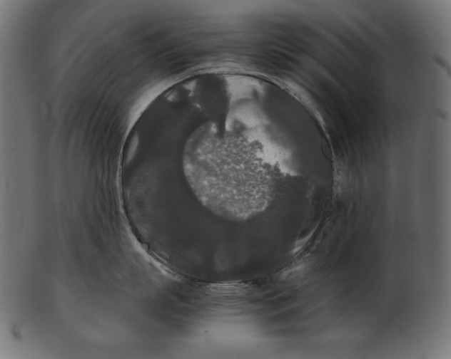 X0000103220863200809111506