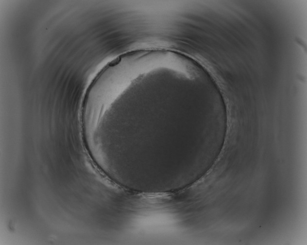 X0000103220864200809111506