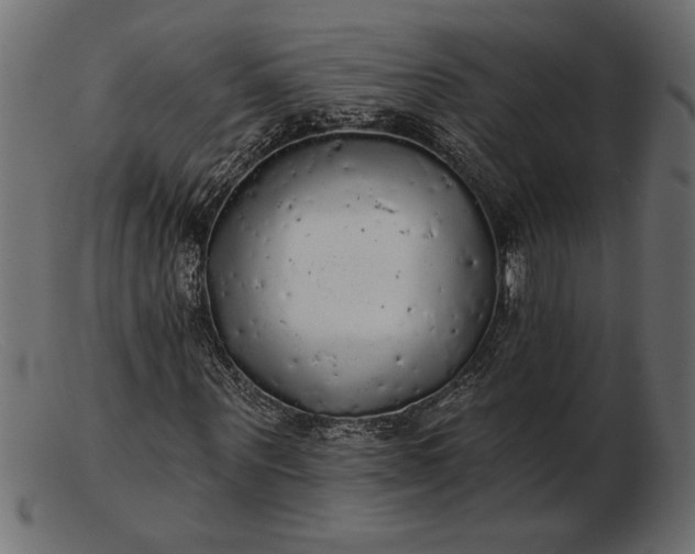 X0000103220867200809111506