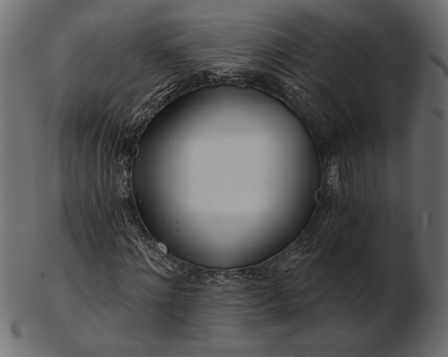 X0000103220868200809111506