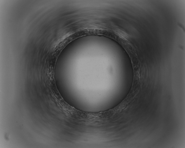 X0000103220870200809111506