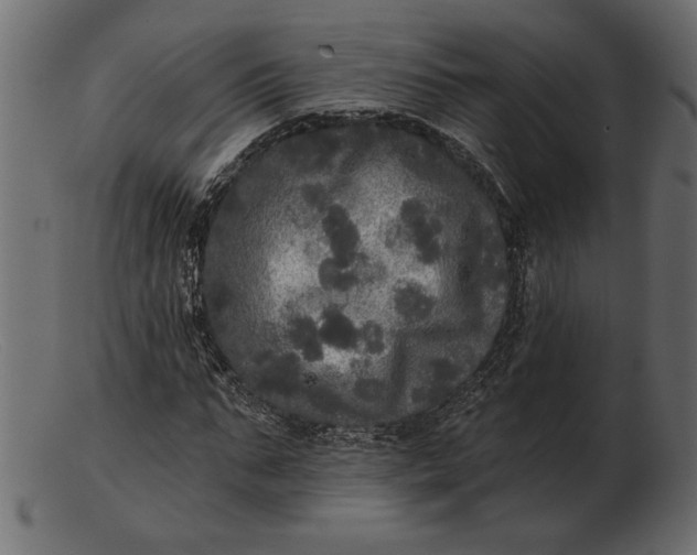 X0000103220871200809111506