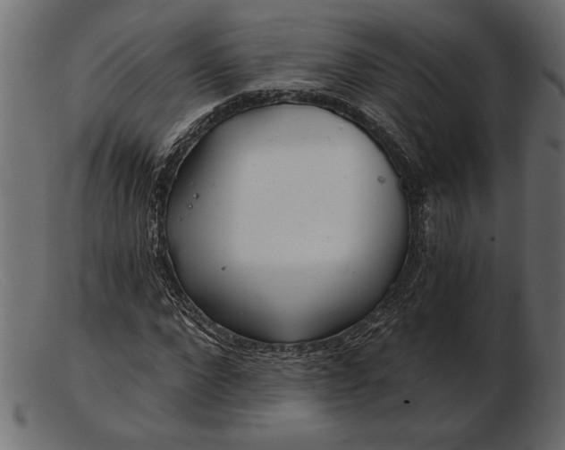 X0000103220872200809111506