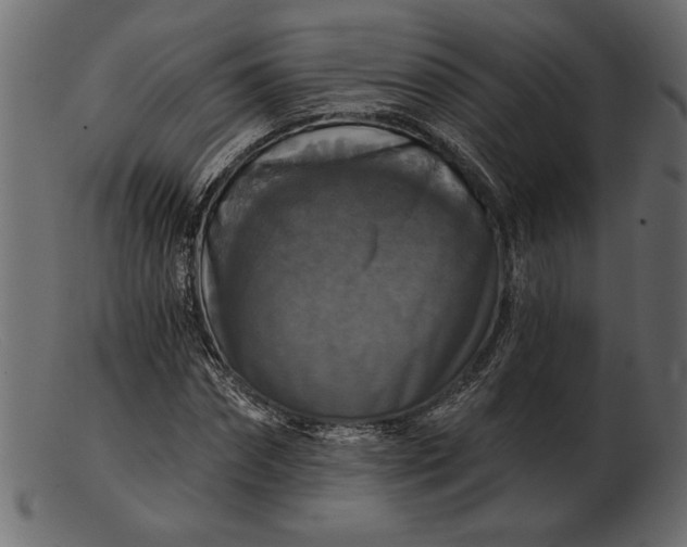 X0000103220874200809111506