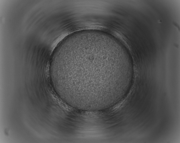 X0000103220875200809111506