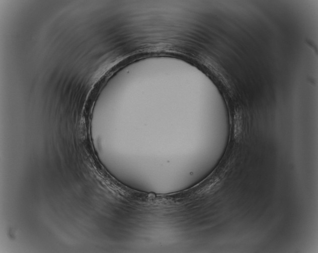 X0000103220876200809111506