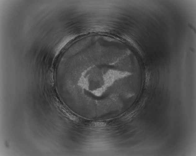 X0000103220878200809111506