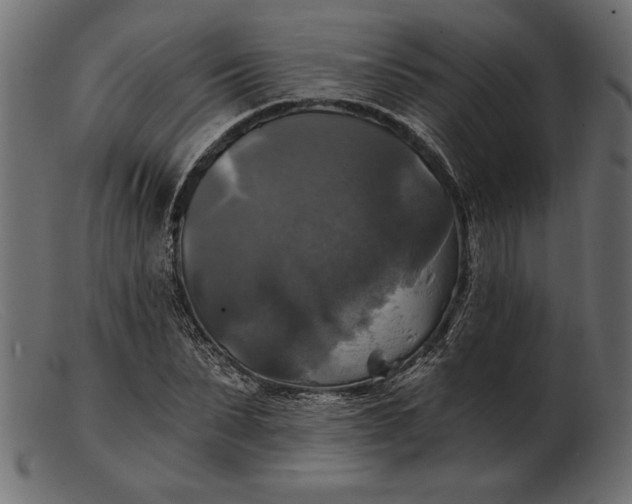 X0000103220879200809111506