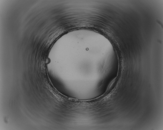 X0000103220881200809111506