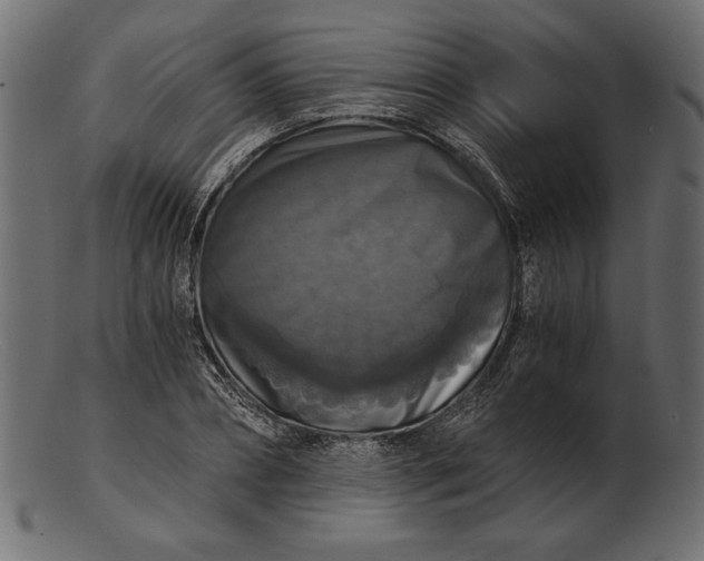 X0000103220882200809111506