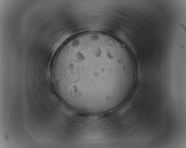 X0000103220883200809111506