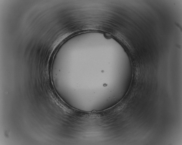 X0000103220884200809111506