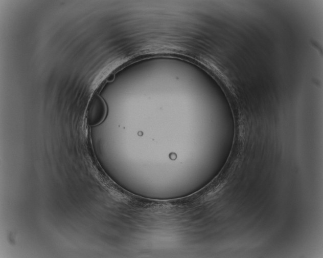 X0000103220885200809111506