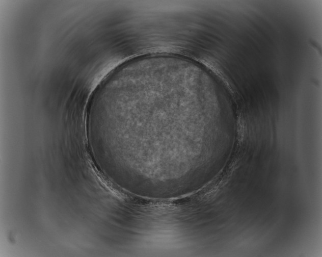 X0000103220886200809111505