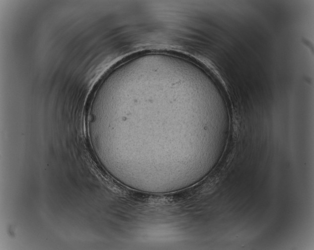 X0000103220887200809111505