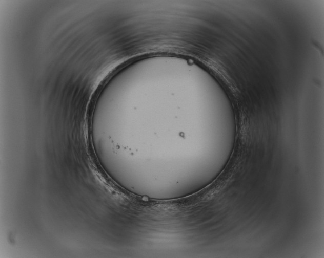 X0000103220888200809111505