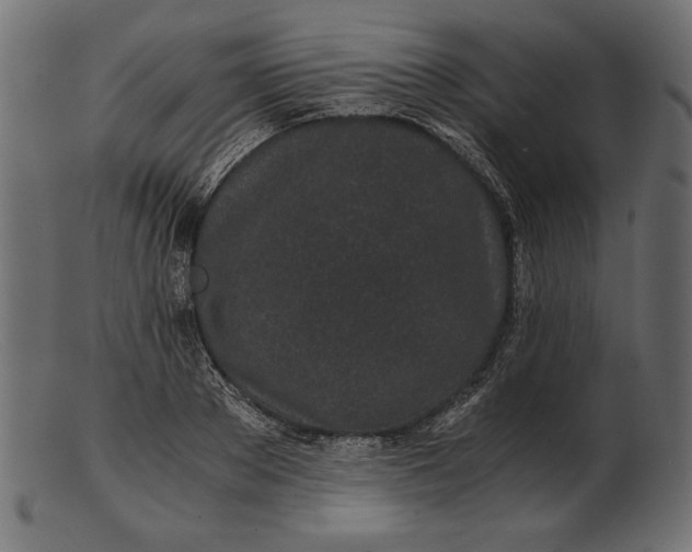 X0000103220889200809111505