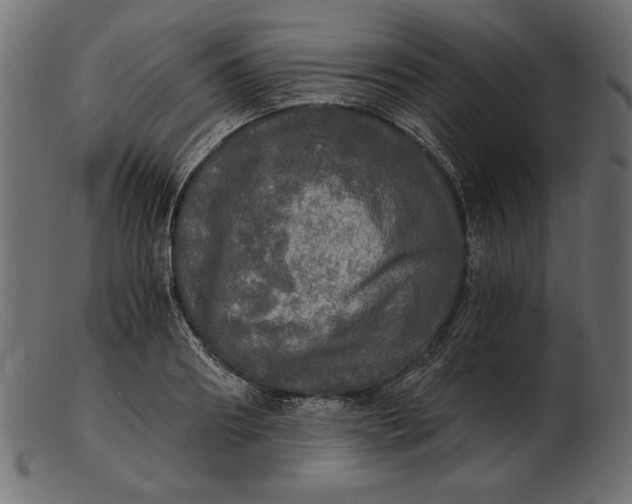 X0000103220890200809111505